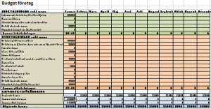 budget för företag mall excel